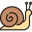 Snail (1)